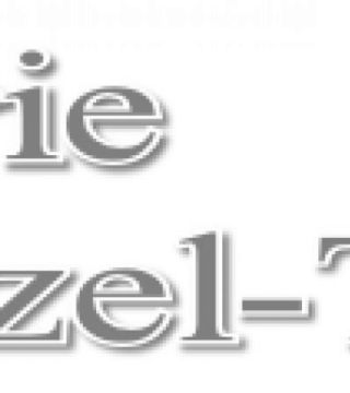 Galerie Stoetzel-Tiedt